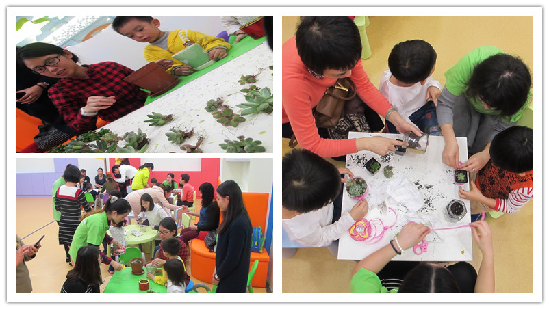 BBunion国际早教顺德中心活动花絮:我与小树齐成长 BBunion国际早教顺德中心活动花絮:我与小树齐成长