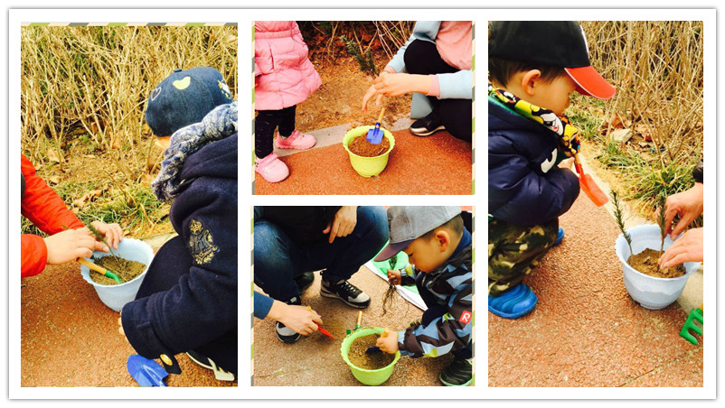 BBunion国际早教青岛中心活动花絮：绿色小卫士，快乐植树节