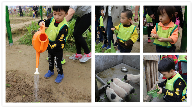 BBunion国际早教厦门世贸中心：植树节户外体验